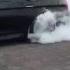 700 HP BMW M5 F10 Burnout And Wheelspin