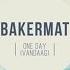 Bakermat One Day Vandaag Pseudo Video