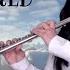 HEAL THE WORLD Flute Cover