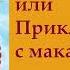 гл 6 Путь Кассандры или Приключения с макаронами Юлия Вознесенская аудиокнига