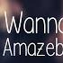 The Amazebellas All I Wanna Do Lyric Video