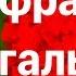 Изучай португальский 200 фраз на португальском