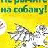 Не рычите на собаку Книга о дресировке людей животных и самого себя Карен Прайор Аудикнига