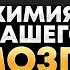 Как гормоны нас формируют Секреты мозга Алексей Ситников