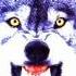 Electro House Dubstep DJ WoLF 2011 Rattle Big Bad Wolf Mix