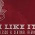 Alesso Nate Smith Sentinel I Like It Alesso Sentinel Remix