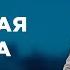 ЗОЛОТАЯ КЛЕТКА САМЫЕ ПОПУЛЯРНЫЕ ВЫПУСКИ КАСАЕТСЯ КАЖДОГО ЛУЧШИЕ ТВ ШОУ стосуєтьсякожного