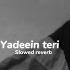 Yaadein Teri Mubeen Butt Slowed Reverb