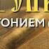 Толкование Евангелия с митр Антонием Паканичем Четверг 24 октября 2024 года