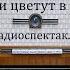 Водоросли цветут в глубинах Константин Кудиевский Радиоспектакль 1960год