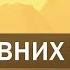 Три древних секрета для сохранения молодости здоровья и энергии Алексей Мередов