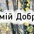 Господь мій Добрий Пастир Християнські пісні з текстом