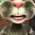 Talking Tom Is Gay