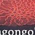 Thousands Flee Erupting Mt Nyiragongo Volcano In DR Congo DW News