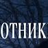 Сага о вампирах 11 серия Ночные охотники автор Анна Костенко Мистика Приключения