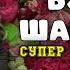 ВЕСЕННИЙ БУКЕТ ШАНСОНА алексейром шансон2024 сборник новинки шансона