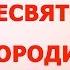 Сон Пресвятой Богородицы универсальный