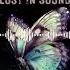 VLINDER VOS LOST IN SOUND