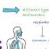 Coronavirus Disease COVID 19