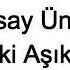 Ersay Üner İki Aşık Lyrics