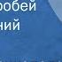 Мераб Парцхаладзе Глупый воробей Поет Евгений Кибкало 1967