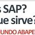 What Is SAP And What Is It For Explained In Less Than 5 Minutes