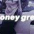 Money Money Green Green Moneys All I Need Tiktok Audio Lyrics Kaytoven MONEY