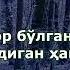 Омар Хишам Шуаро сураси 80 оят ШИФО АЛЛОХДАН