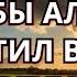 АЛЛАХ ПРОСТИТ ВАМ ВАШИ ГРЕХИ ИН ША АЛЛАХ ДУА ДЛЯ ПРОЩЕНИЯ ГРЕХОВ ИН ША АЛЛАХ