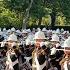 HM Royal Marines Massed Bands Beating Retreat 2022