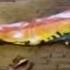 Pride Flags Burned In The Grove