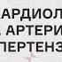 НОВОСТИ КАРДИОЛОГИИ 2024 ЧАСТЬ 2 АРТЕРИАЛЬНАЯ ГИПЕРТЕНЗИЯ