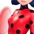 Roar Ladybug Miraculous MV