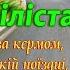 С Днем автомобилиста Поздравляем с Днем водителя Красивое Поздравление с Днем автомобилиста