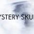 Mystery Skulls Told Ya Official Audio