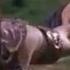 Xena Eats The Clue Xena Warrior Princess S1E14 Vore In Media