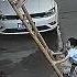 Chinese Boy Saves Father From Nasty Fall By Holding Broken Ladder Steady Shorts