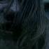 Deep 6 Zombie Horror Short Film VIEWER DISCRETION IS ADVISED