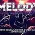 Dimitri Vegas Like Mike Steve Aoki Vs Ummet Ozcan Melody Extended Mix