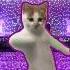 Кот танцует мем Shortsvideo рек Catshorts мемы мем тренды Dance юмор Dancingcat Green