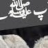 100 Wolves Request To Prophet Muhammad PBUH Maulana Tariq Jameel