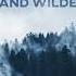 Tim Halperin Ft Jordan Critz Light And Wilderness Official Audio