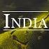 Welcome To India CINEMATIC TRAVEL FILM