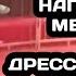 Нападение медведя на дрессировщика в Цирке Моретти в Бийске