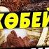 ЕР АЗАМАТТАРДЫҢ ЖЫНЫСТЫҚ ҚАБЫЛЕТІН КҮШЕЙТЕТІН ҰРЫҚТЫ КӨБЕЙТЕТІН ШӨП ДӘРІЛЕР