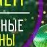 СИМВОЛ 2025 года год ЗМЕИ Как встретить и Что важно знать