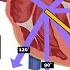 How To Read An ECG ECG Interpretation EKG OSCE Guide UKMLA CPSA