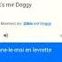 GIBT S MIR DOGGY Song By Katja Krasavice On FRANCE Google Translator