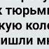 Бунт на Зоне Заключенные Требуют Женщин Сборник Свежих Анекдотов Юмор