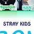 Stray Kids ASTRONAUT Colorcodedlyrics Han Rom Eng